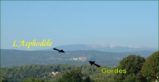 L'Asphodèle sur les hauts de Gordes vue d'Oppède le vieux - 17/09/04